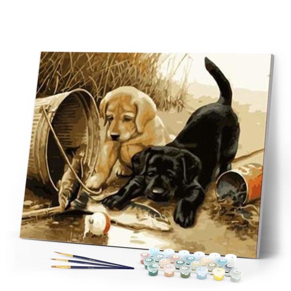 Two dogs playing Sale