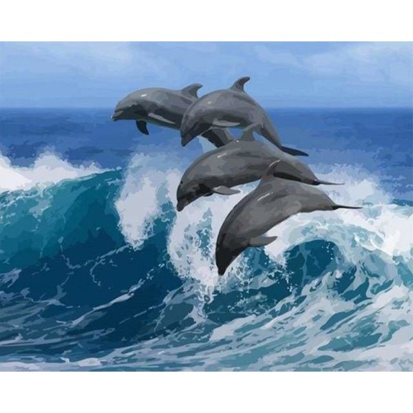 Four Dolphins Fashion - Image 2